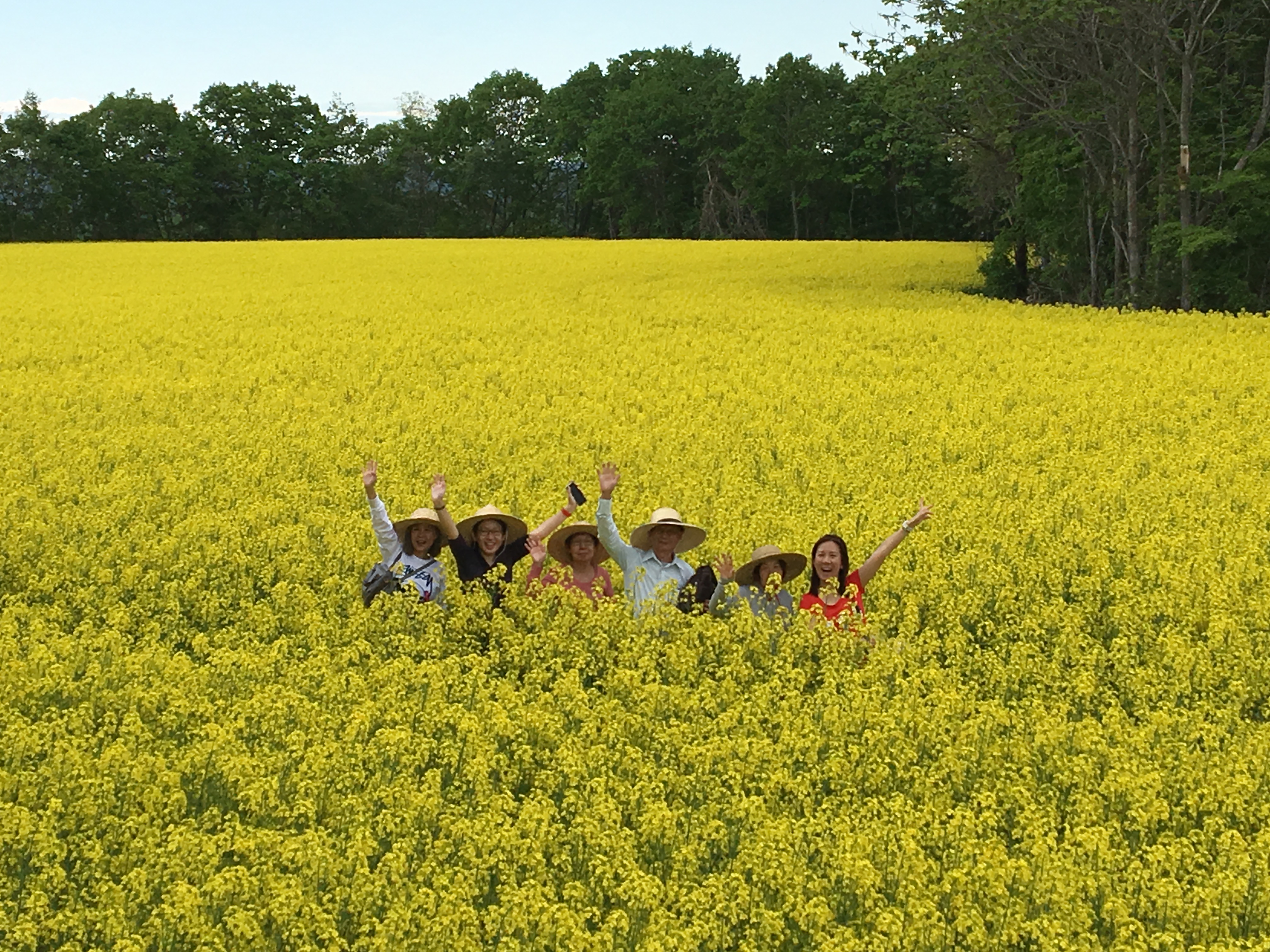 畑ガイドと行く菜の花ピクニック【音更(おとふけ)町】