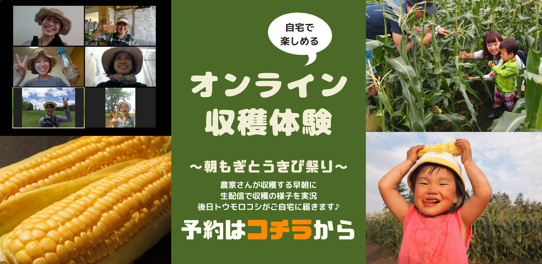 【ライブ配信】オンライン収穫体験🎶〜朝もぎとうきび祭り〜