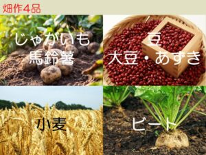 教育旅行担当の旅行会社の皆さまへ コーディネートツアーのご案内 いただきますカンパニー